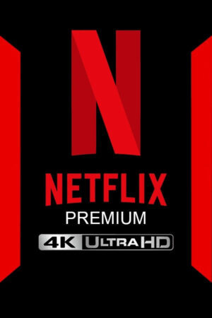 Netflix Abonnement 4K